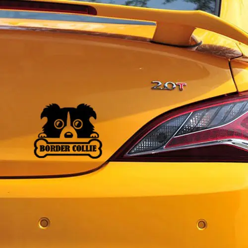 2016 Новинка колли наклейка собаки на стену автомобиля Стикеры кузова ветровое