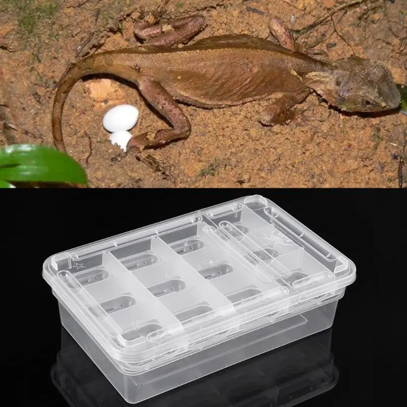 24 слота под рептилию инкубатор коробка лотков для яиц Gecko Хамелеон