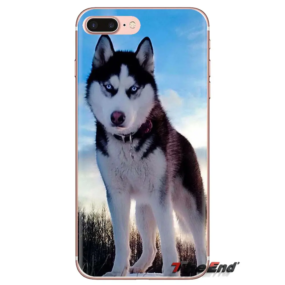 Siberian Husky Dog puppies For iPod Touch Apple iPhone 4 4S 5 5S SE 5C 6 6S 7 8 X XR XS Plus MAX Soft Transparent Shell Covers |
