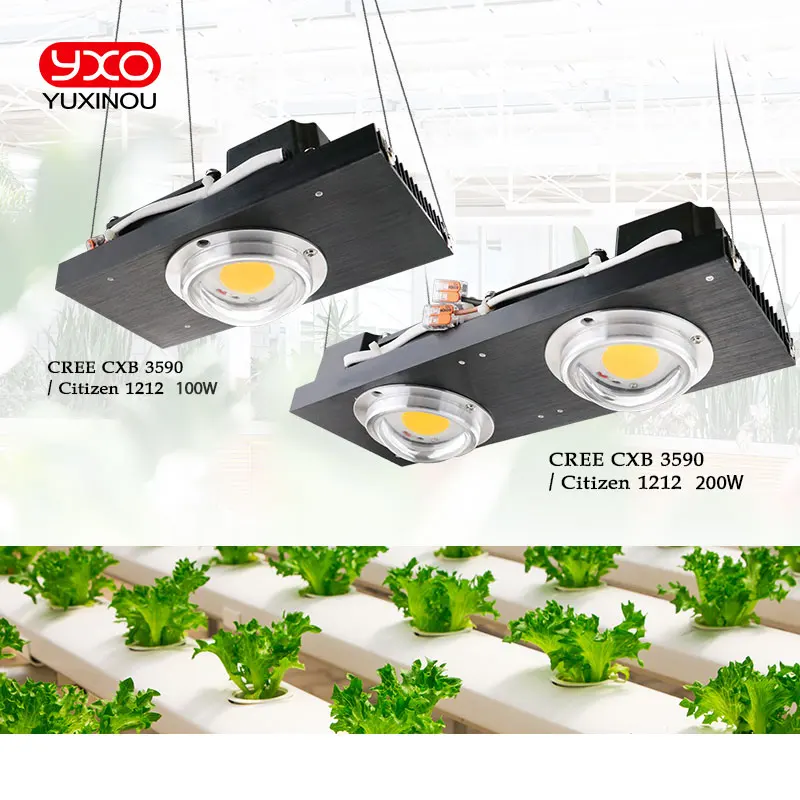 100 Вт 200 Вт CREE CXB3590 COB светодиодный светильник для выращивания 120 Вт LM301B Квантовая доска светодиодный светильник для выращивания комнатных тентов теплиц гидропоники