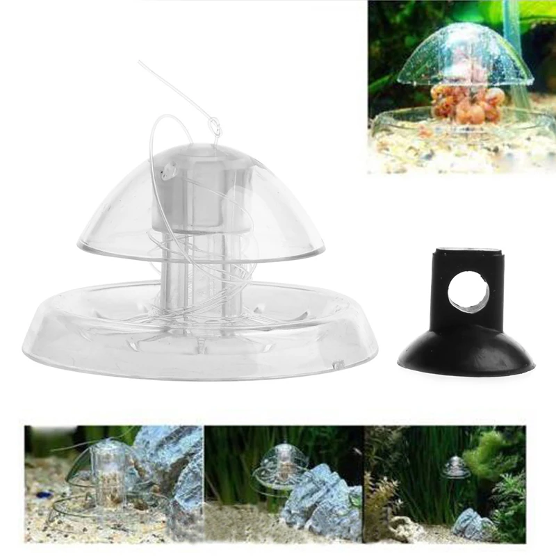Ясная ловушка для улитки аквариума растения планарного цеха|fish tank plants|fish aquariumplanted