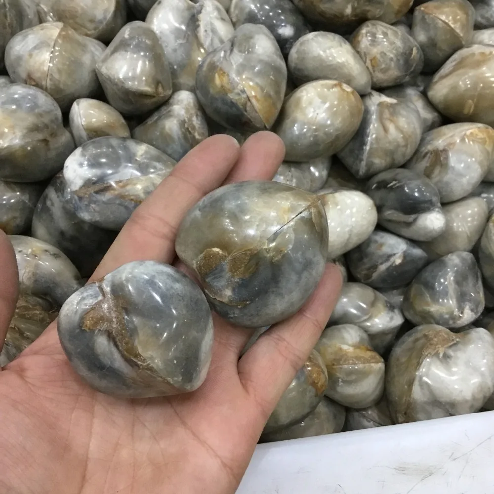 

Украшения из натуральных красивых ракушек, 2 шт.