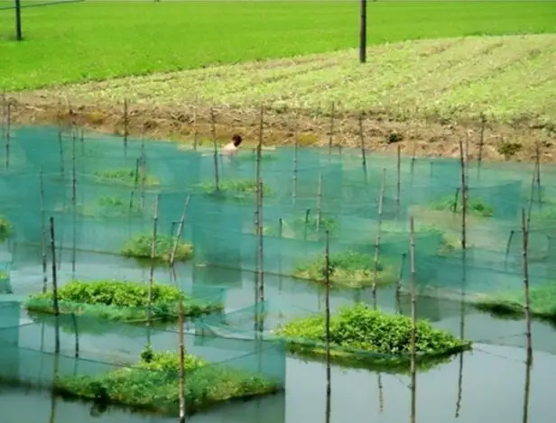 Клетки для аквакультуры используемые водных растений водорослей рыбы насекомых