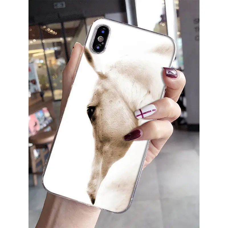 A11 Babaite Frederik The Great beauty horse DIY роскошный высококачественный протектор чехол для iPhone 6 S 6 plus 7 7 plus 8 8 Plus X Xs MAX 5 5S XR - Цвет: A11