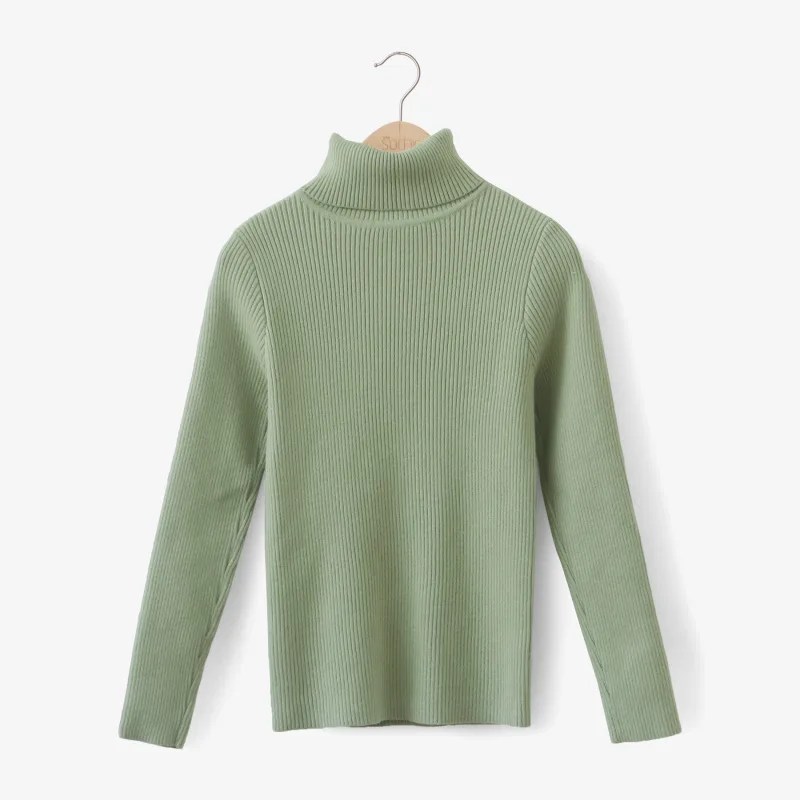Women's Sweater Turtleneck Slim Solid Pullover for Lady Flexible Multi Color Optional SW692 | Женская одежда