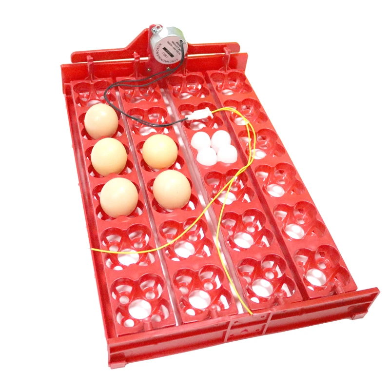 Инкубатор для перепелов 96 яиц 43 х28 см|tool ice|incubator temperature and humidityincubator quail |