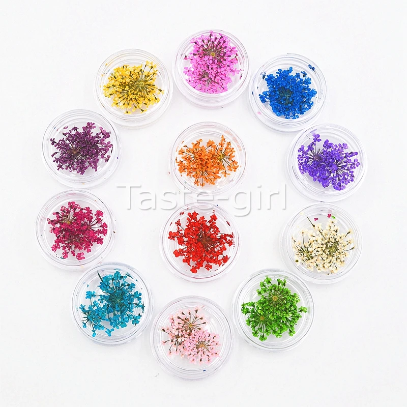 12 цветов натуральный сушеный цветок для УФ-геля ногтей |