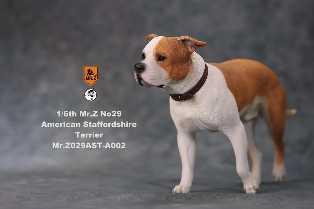 A002 1/6 Коллекционная Фигурка сцены аксессуары Mr. Z Real Animal NO. 29 американский стаффордширский терьер осанка с обменяемой головой - Цвет: A002