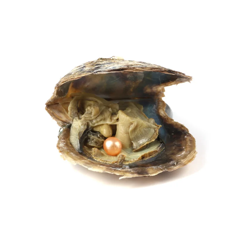 10 шт Oyster соленая вода с круглым жемчугом внутри случайный цвет(6,5-7,5 мм