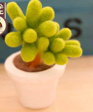 Plants 2 Суккулентные растения, Мультяшные животные, набор из шерсти, набор для рукоделия, шерсть, войлок, игла для валяния, украшение, Рукоделие, сделай сам, ручная работа - Цвет: Plants 2