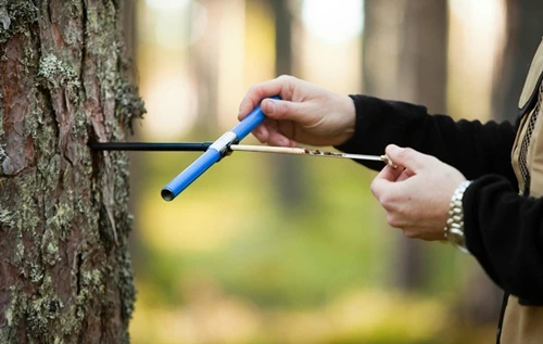 

Plants, trees, growth cones, Swedish Haglof, inner diameter 5.15 mm, 2 thread