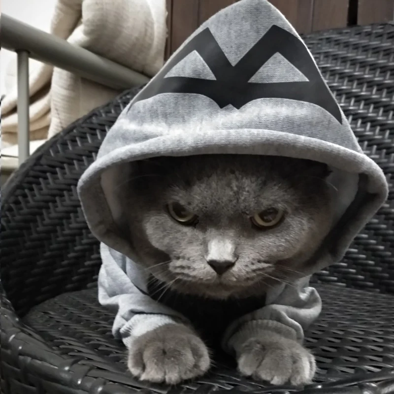 Модная одежда для кошек с капюшоном пальто куртка толстовки собак теплая