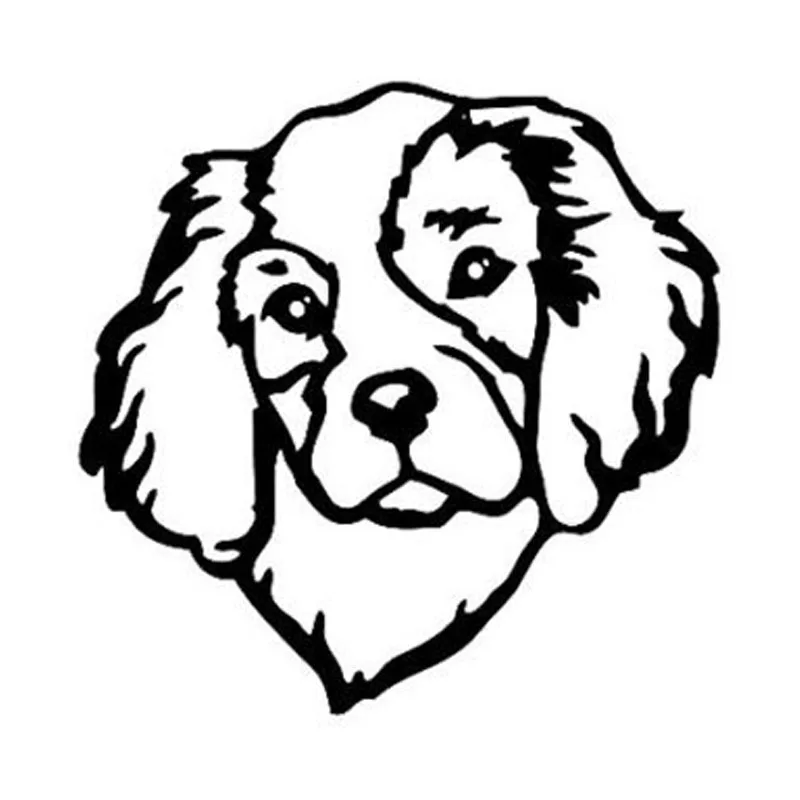 12 7*12 7 см годов оформления фотографий с надписью Cavalier King и Charles Spaniel цвет