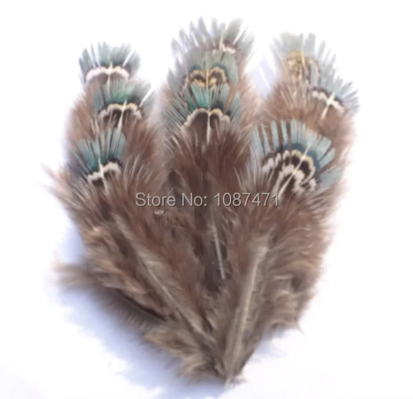50 шт 4-7 см натуральный зеленый цвет полосы перья из хвоста фазана для ювелирных