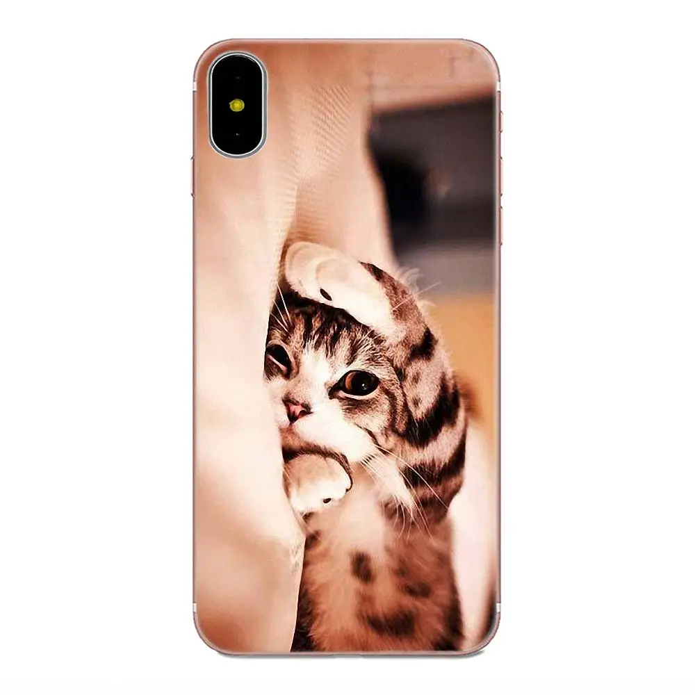 Мягкий силиконовый чехол Coute Sleeping Kitten Cat для Huawei Honor 4C 5A 5C 5X 6 6A 6X 7 7A 7C 7X 8 8C 8S 9 10 10i 20 20i
