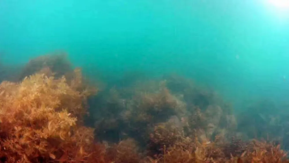 ROV110 подводный Дрон подводный робот бесщеточный RTR Подводное Обнаружение подводная Диагностика