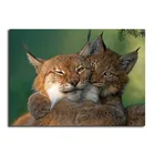 Полная круглая Алмазная вышивка крестиком Рысь полная квадратная алмазная живопись кот DIY 3D Бриллиантовая мозаичная фигурка животного