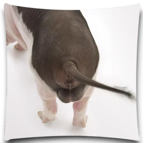 Animals pig Square 45*45 cm creative pillow case office Wedding bedding couch Vintage home decorative 5 size 9 style | Дом и сад