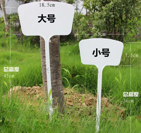 

20шт 45*18,5 см Daejeon заземление бренда садоводства фотокарты
