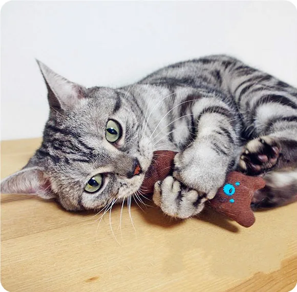 1 шт. супер кот мультяшный большой палец Мятная подушка трава товары для кошек