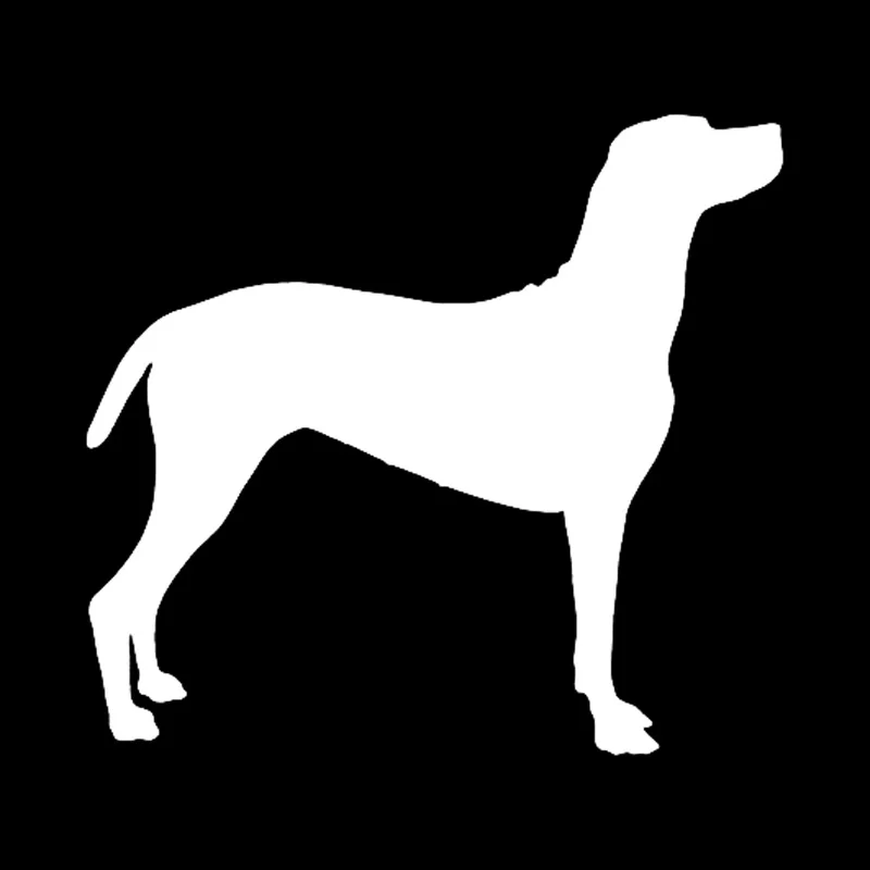 13 7*12 7 см венгерский собака Vizsla наклейка автомобиля стикер крышка царапины