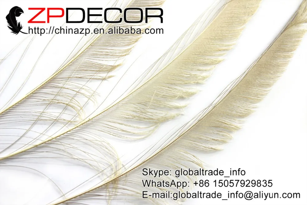 Фото ZPDECOR 50 шт./лот 30-40 см (12-16 дюймов) ручной выбор премиум качества цвета слоновой кости оптовая продажа павлиньих мечей ограненных перьев распро... №4
