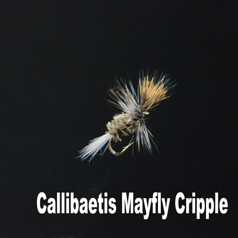 Cripple Size16 CONTEMPLATOR 5 шт./кор. 16# callibaetis Mayfly нанести новых Поденок сухие наживки в виде мухи искусственный fly для рыболовной приманки в виде мух - Цвет: Cripple Size16