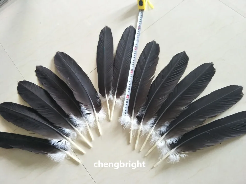 Оптовая продажа комплектов 12 шт./лот редкие натуральные перышки с хвостом орла 38