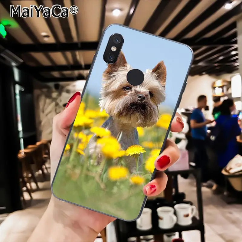 A16 MaiYaCa Westie терьер собака щенок Highland терьер чехол для телефона для Xiaomi Redmi8 4X 6A S2 7A 6A Redmi 5 5Plus Note5 7 Note8Pro - Цвет: A16