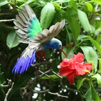 artificial feathered spread wings bird taxidermy home garden decor ornament