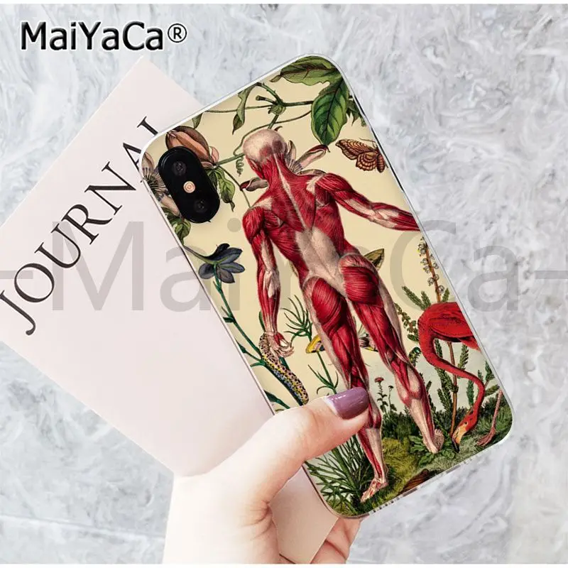 MaiYaCa, медицинский, человеческий, головной, меридиан, почка, искусство, Модный чехол для телефона, для iphone 11 pro 8 7 66S Plus X 5S SE XR XS MAX - Цвет: 7