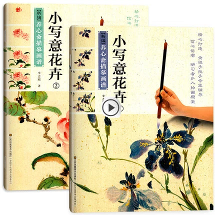 2 шт./компл. Китайская традиционная тонкая линия gongbi biao miao художественная книга