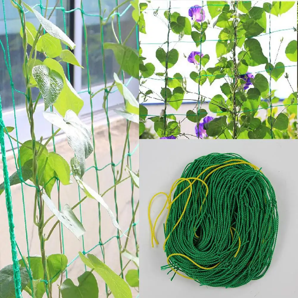 Сетка для подъема по мотивам дыни фруктов Утренней славы лозы цветов винограда