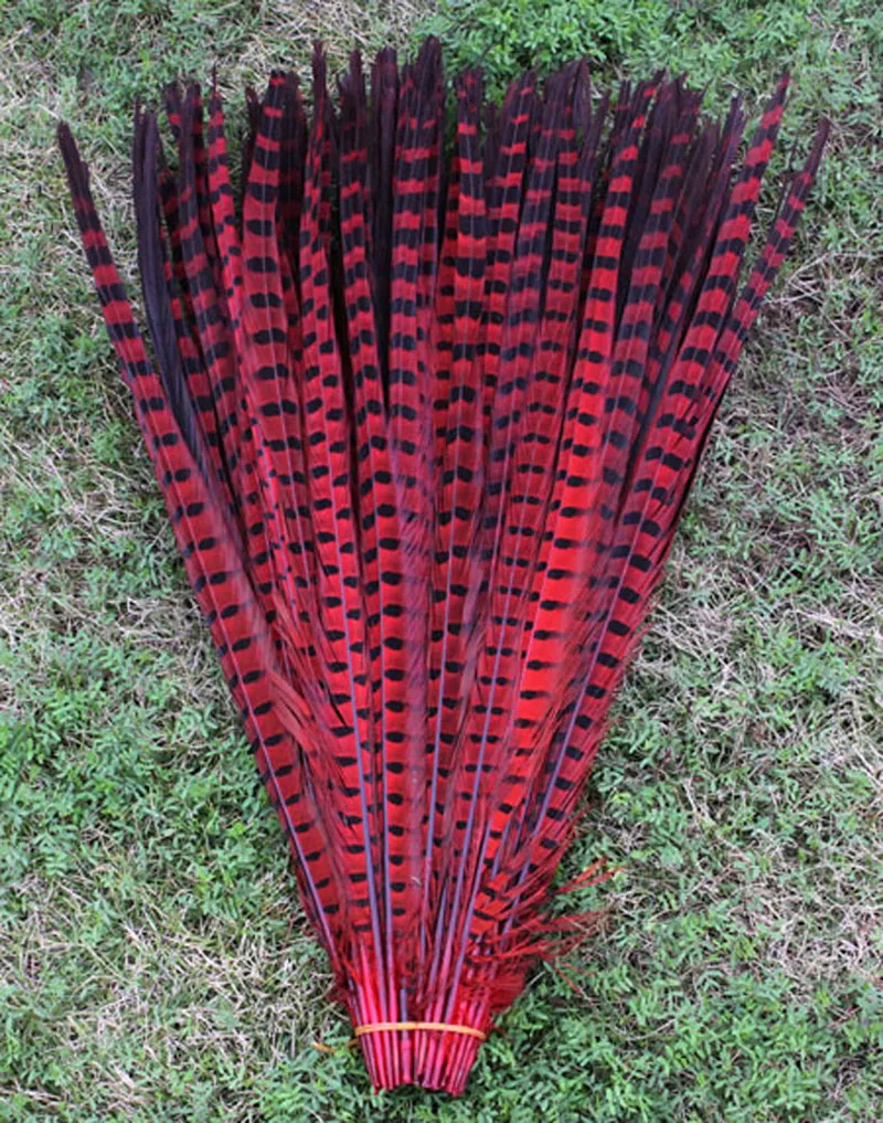 

Wholesale! 60pcs20-22 inch / 50-55cm beautiful pheasant feather hot red