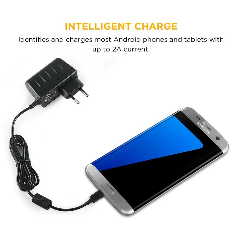 Настенное зарядное устройство EasyAcc 5 В 2 А с USB и американской вилкой дорожное Micro