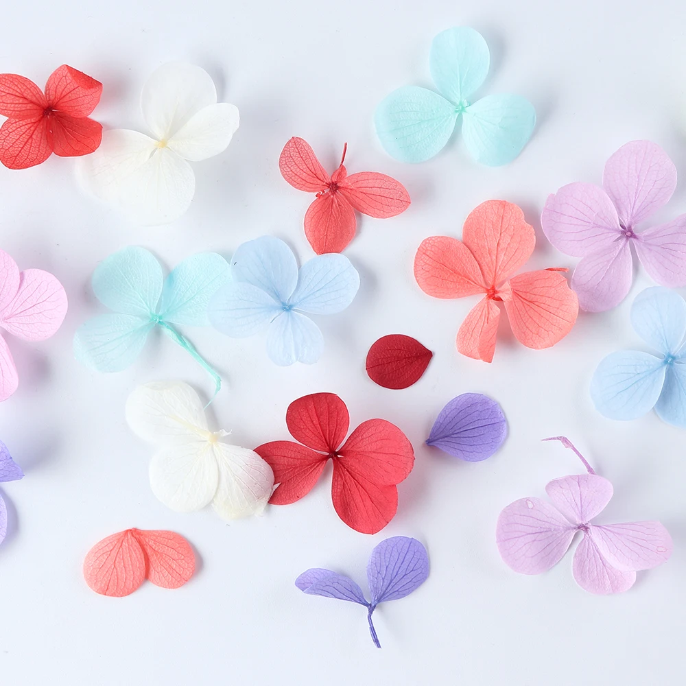 1 упаковка смешанные цвета высушенные цветы для ногтей художественное украшение