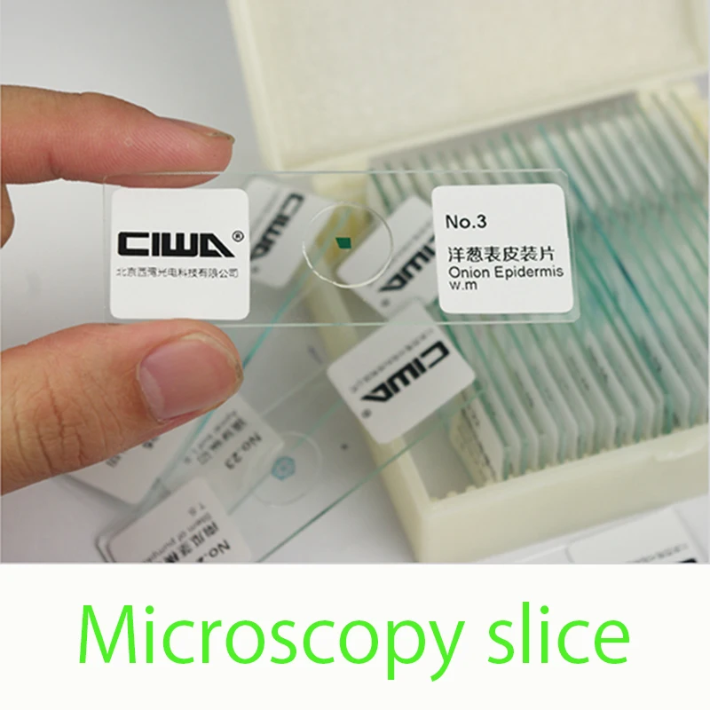 Микроскоп CIWA HD биологический образец 25 ломтиков образцы растений и животных