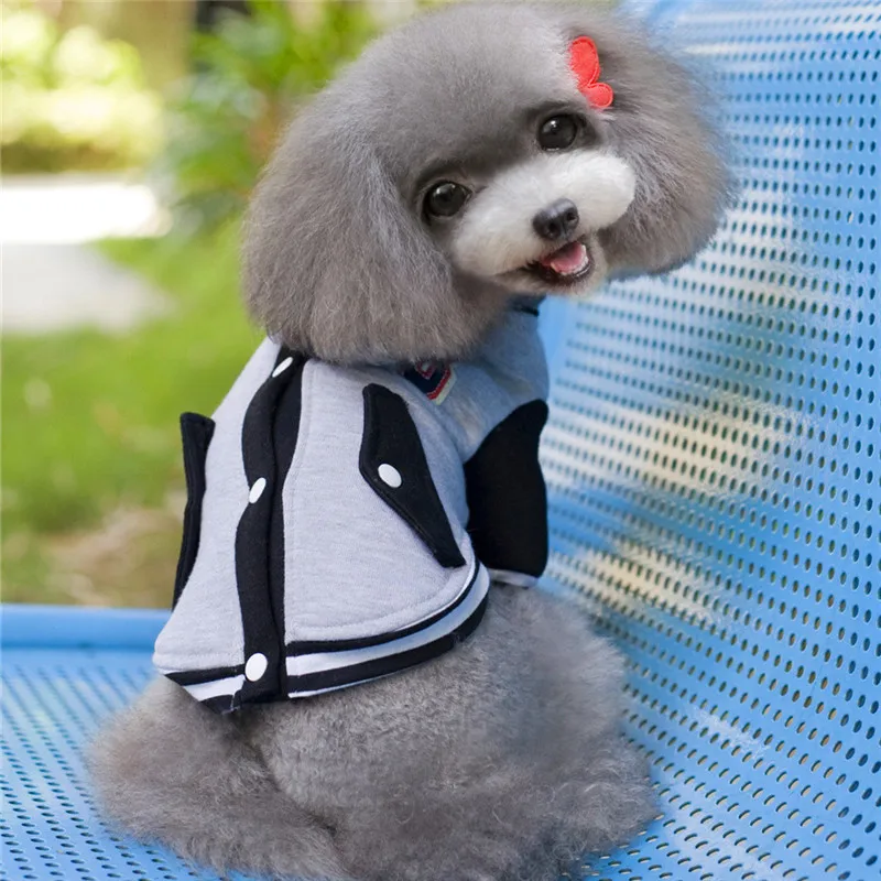 Высокое качество 6 цветов Мода щенок для отдыха Бейсбол форма классической школы