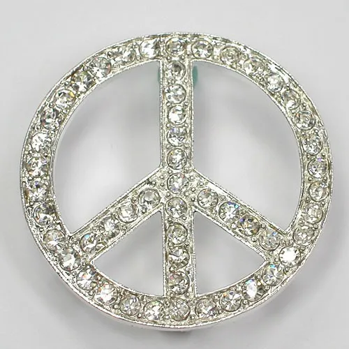 Посеребренная Брошь Стразы прозрачная брошь с маркировкой мира | Украшения и