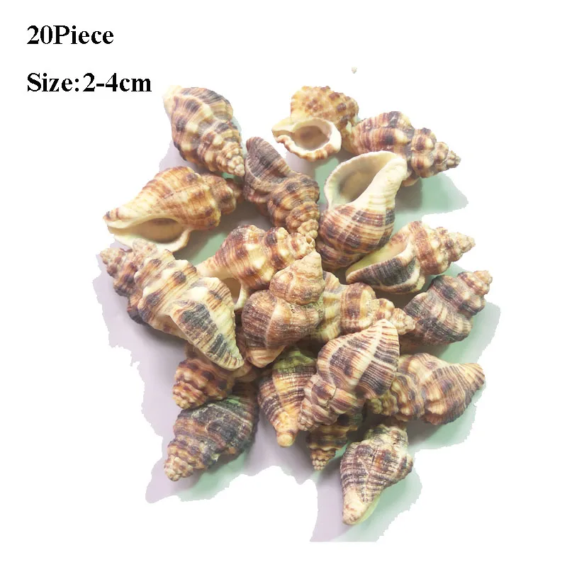 50g Small Sea Shells Mixed Ocean Beach Seashells-Natural Colorful shells Starfish Perfect for Vase Fillers | Дом и сад