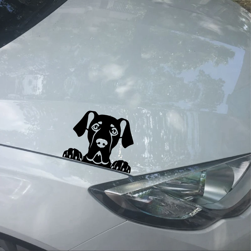 Peeking Great Dane наклейка Персонализированная виниловая Автомобильная Pet Dog Silhouette