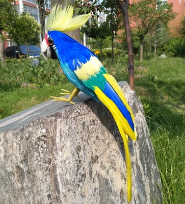 

colourful feathers parrot cockatoo artificial bird 30cm handicraft,prop,home garden decoration gift p2734