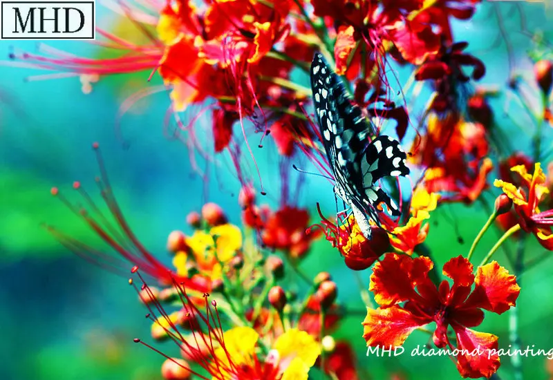 

Animal 5d diy diamond painting butterfly flower new arrival 3D diamond cross stitch embroidery rhinestone mosaic home decoration