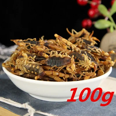 100g Quan Xie травяная медицина сушеный скорпион - Цвет: 100g