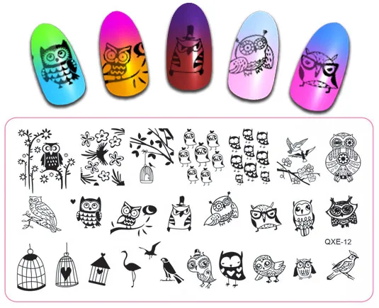 6*12 см дизайн ногтей милые птицы сова штамповки изображения пластины полировка