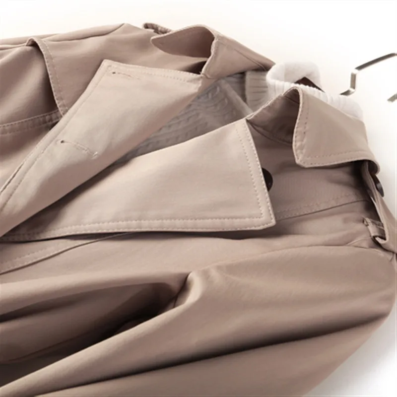 2019 корейский длинный Тренч Женский Повседневный Классический двубортный