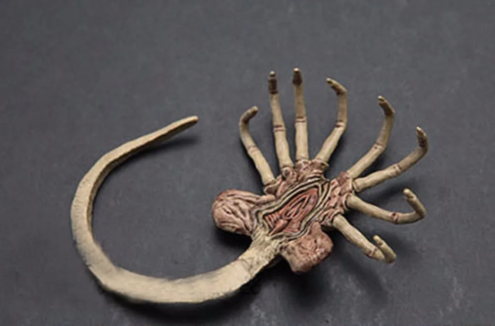 1:6 чужой Хищник Прометей звезда зверь FACEHUGGER личинка Игрушечные лошадки для 12