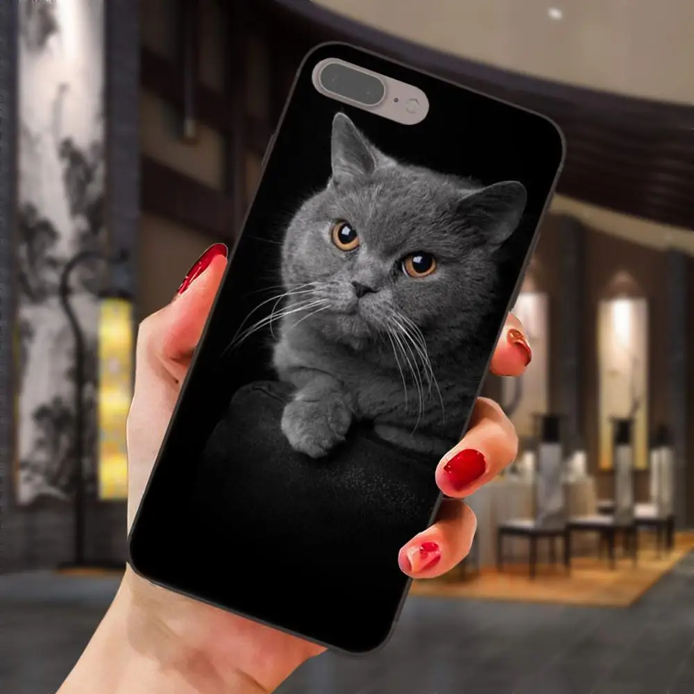 as picture Просвечивающий чехол из мягкого британская; топ с рисунком кошки для huawei Honor 5A 6A 6C 7A 7C 7X 8A 8C 8X9 10 P8 P9 P10 P20 P30 Мини Lite рlus - Цвет: as picture