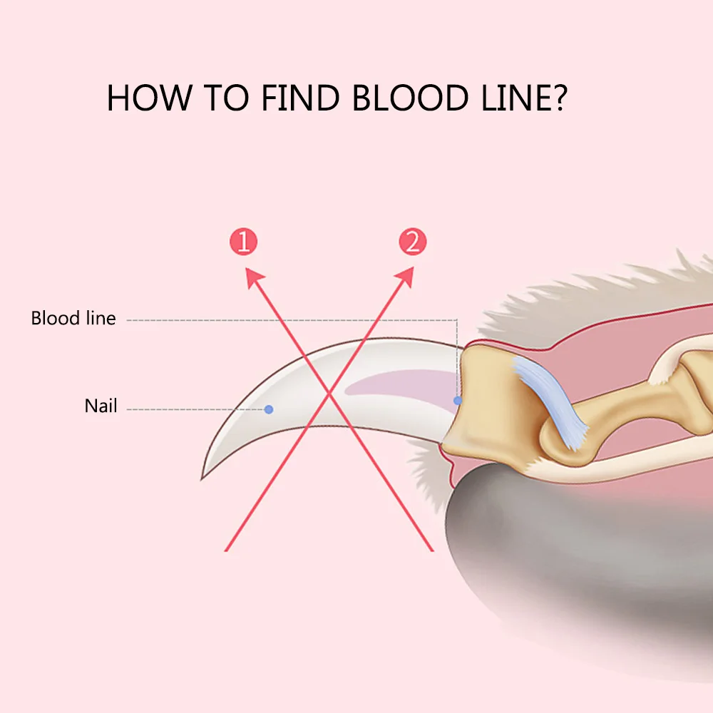 Новый резак коготь для домашних животных ножницы кусачки ног Собака Кошка Птица