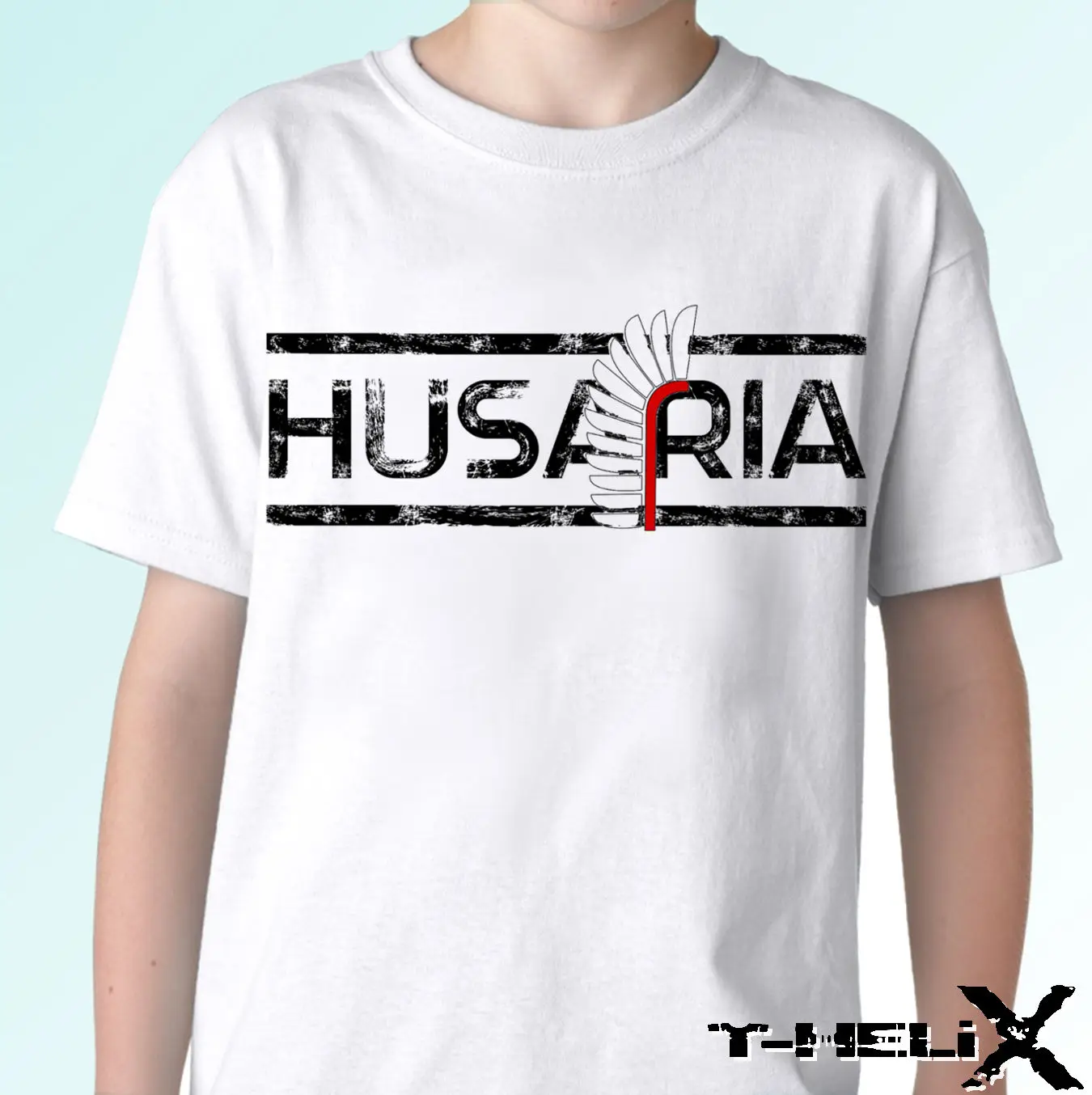 Husaria logo polска koszulka Poland flag футболка Топ Polski все размеры футболки топы уличная